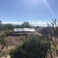 IMG_0002