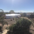 IMG_0010